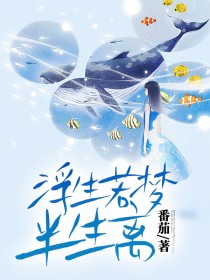 浮生若梦半生离