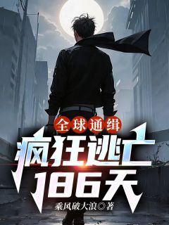 全球通缉：疯狂逃亡186天