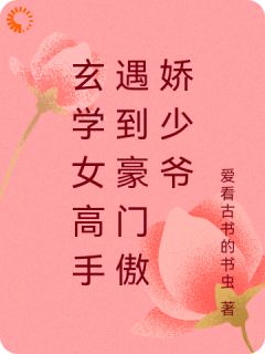 玄学女高手遇到豪门傲娇少爷