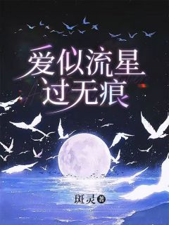 爱似流星过无痕