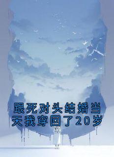 跟死对头结婚当天我穿回了20岁完整版小说在线阅读地址 主角叶槿栖秦纪野